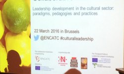 Leadership development in the cultural sector: paradigms, pedagogies and practices