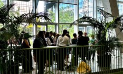 Art by Commission in Flanders: Policy, Practice, and Professionalisation