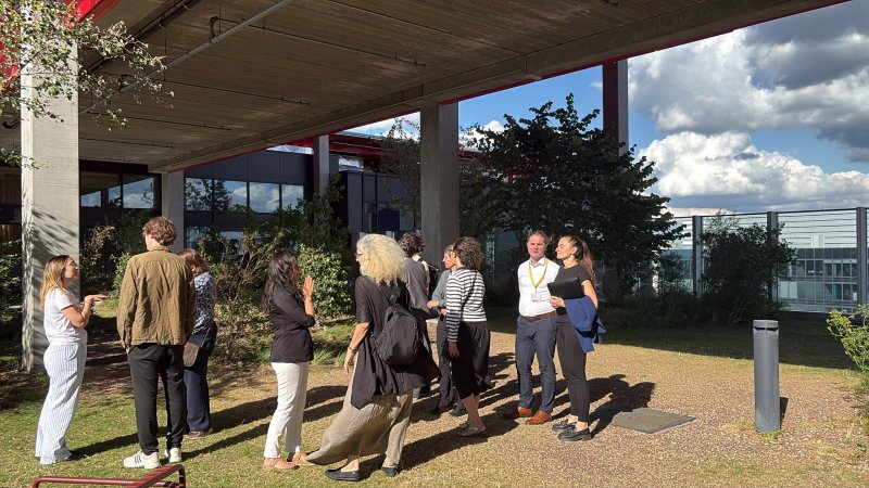 Art by Commission in Flanders: Policy, Practice, and Professionalisation