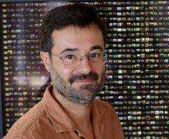 Matteo Treleani