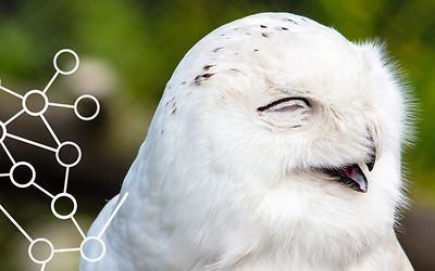 Don’t sleep through your early bird registration! 